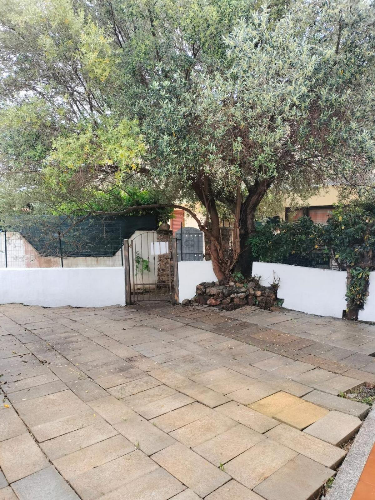 サン・テオドーロ Casa Antonyヴィラ エクステリア 写真